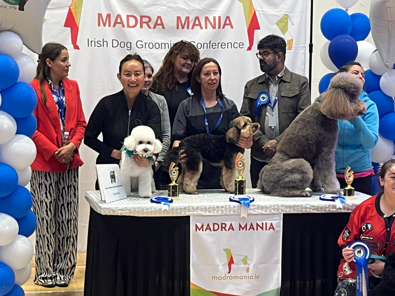 Susie Madra Mania Dog Grooming